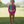 Load image into Gallery viewer, CHANEL